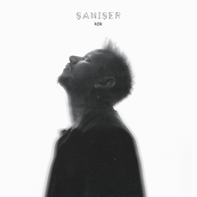 open.spotify.com