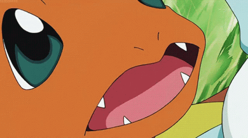 squirtle-bites-charmander-squirtle-bite.gif