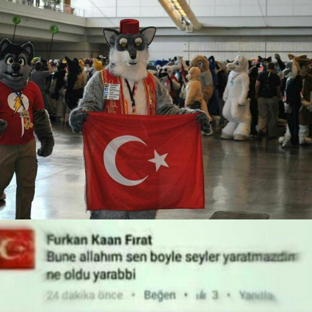 2t3akae9y0k11.jpg
